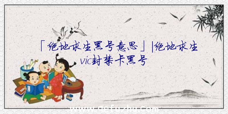 「绝地求生黑号意思」|绝地求生vic封禁卡黑号